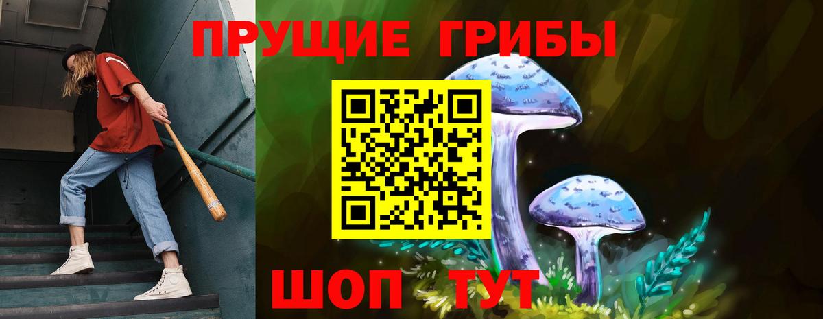 Псилоцибиновые грибы GOLDEN TEACHER Можга
