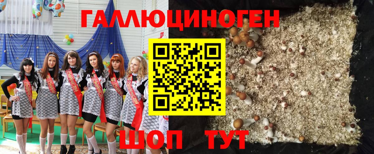 Псилоцибиновые грибы Psilocybine cubensis  Вход с VPN  закладка  Псилоцибиновые грибы GOLDEN TEACHER  Можга 